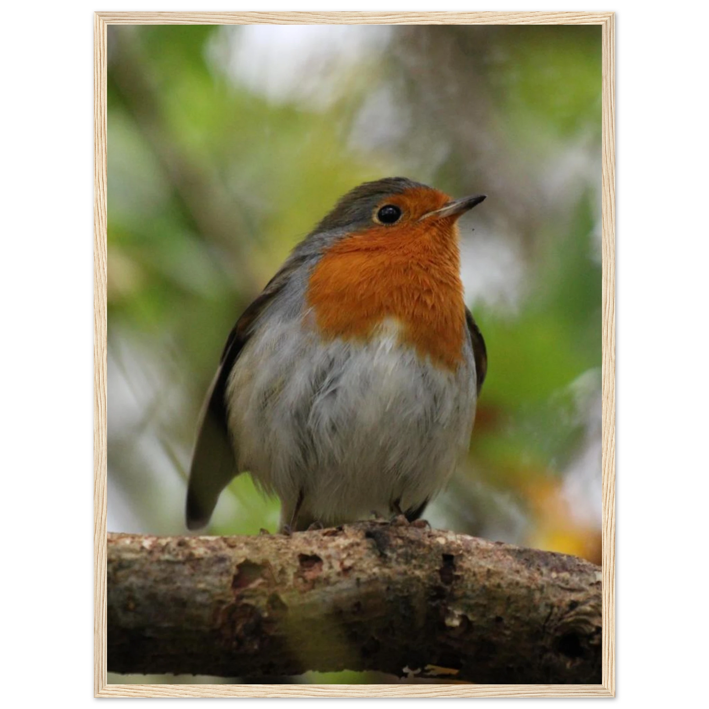 4abc15b3-aad5-48c3-a5e5-a130375faea9