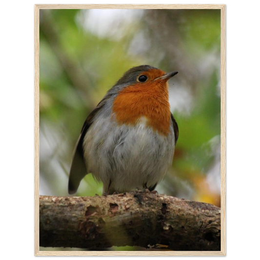 4abc15b3-aad5-48c3-a5e5-a130375faea9