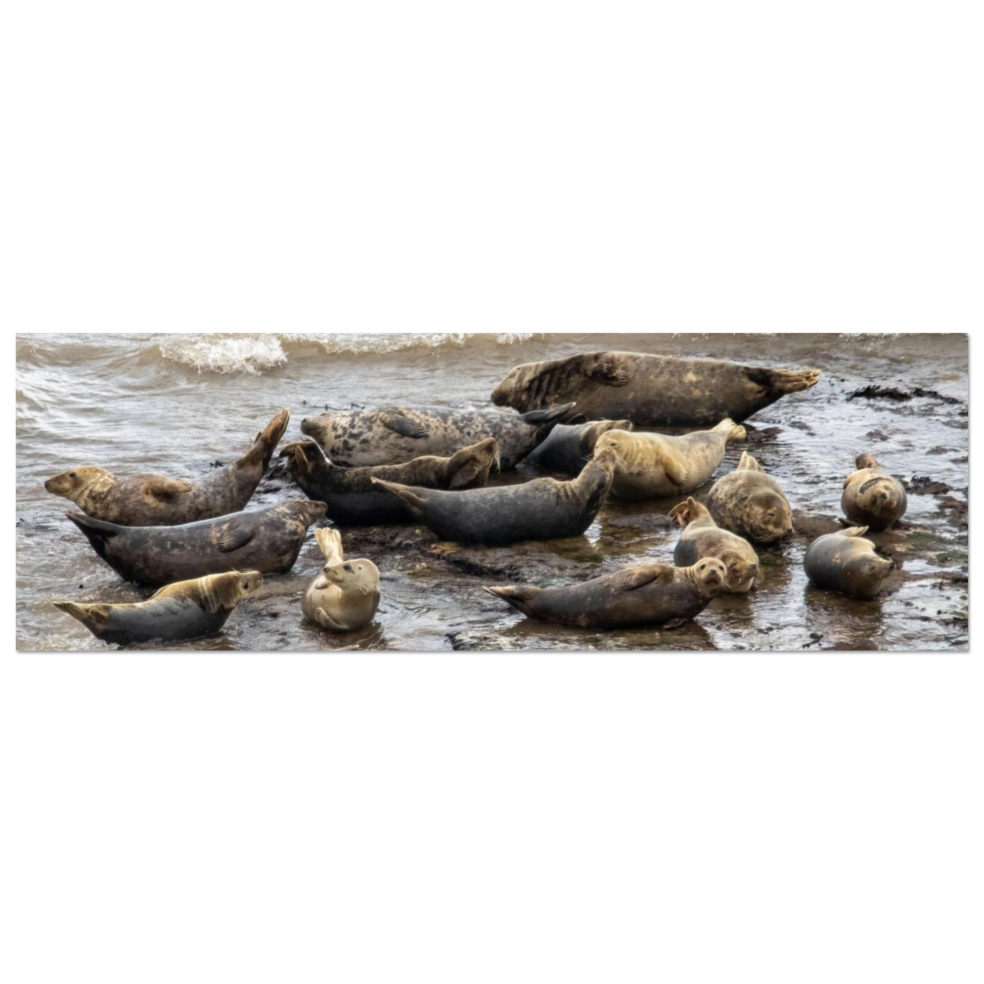 4c222860-a265-43e2-9d73-80a990e7cd54