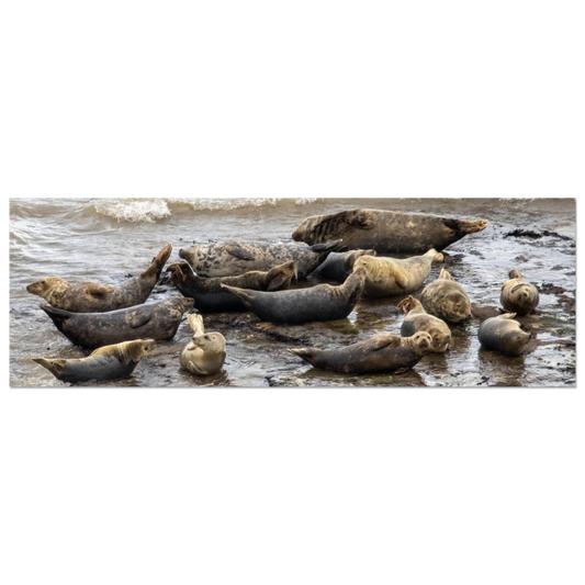 4c222860-a265-43e2-9d73-80a990e7cd54