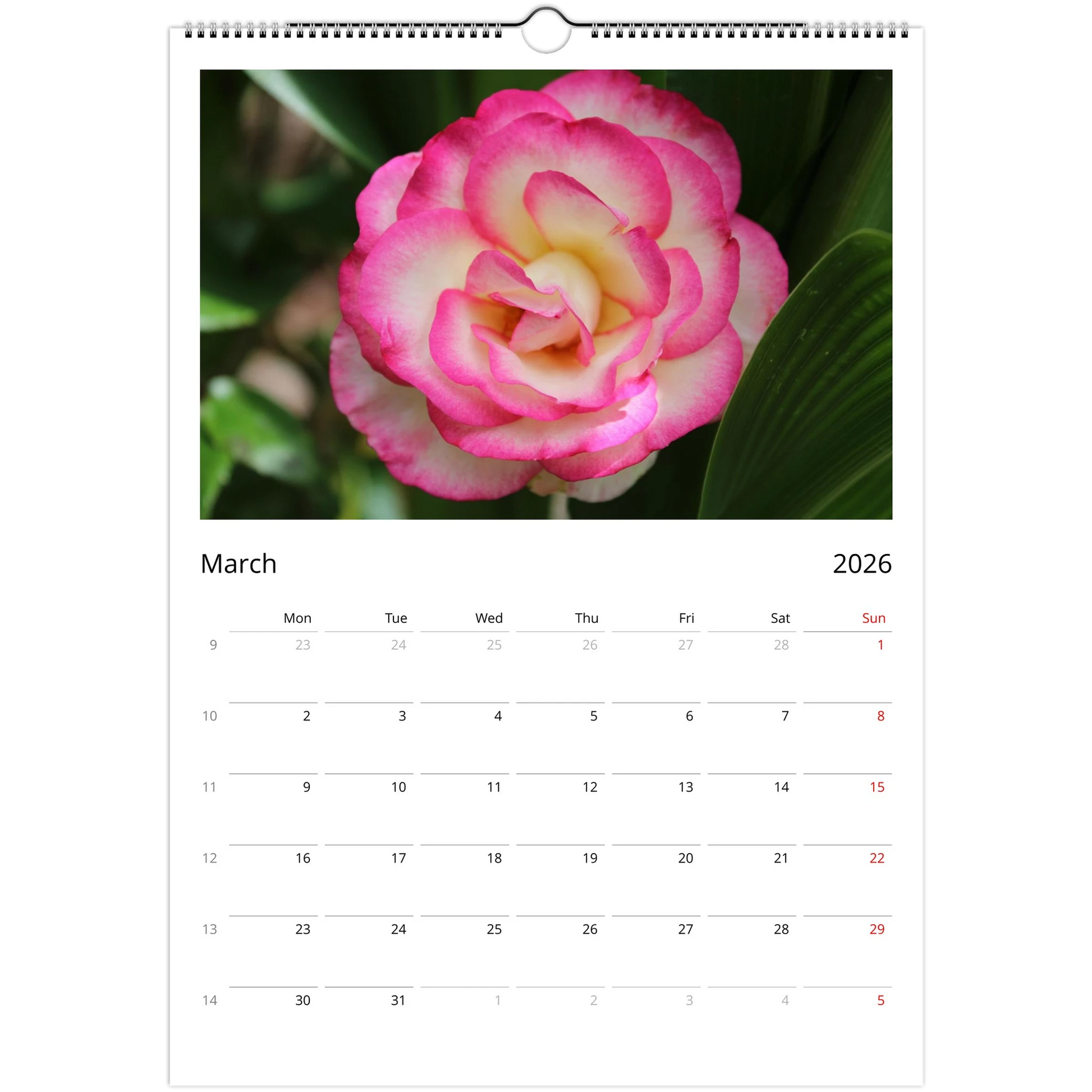 50b0f96d-c2af-4ac8-bcfe-1d743e3f6c2c