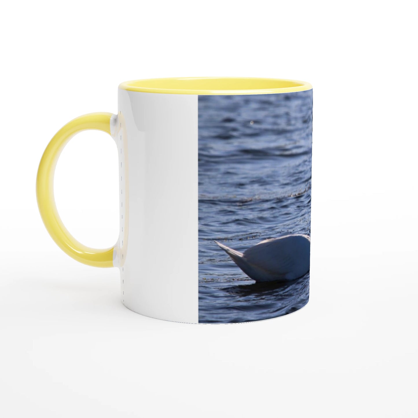 51dc3fa0-ec3a-4ae4-9bf5-4b48afba85e2