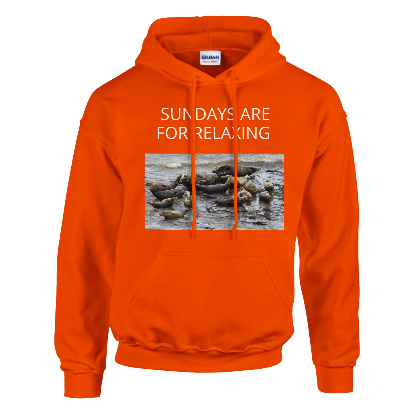 522a2283-07fc-44ee-a5a1-8d29fb74274c