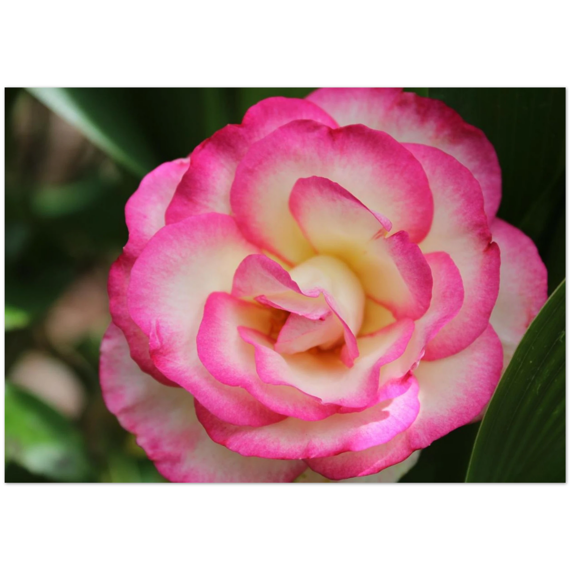 55152ac4-a94b-4fb6-883a-50ee5bd36dd9