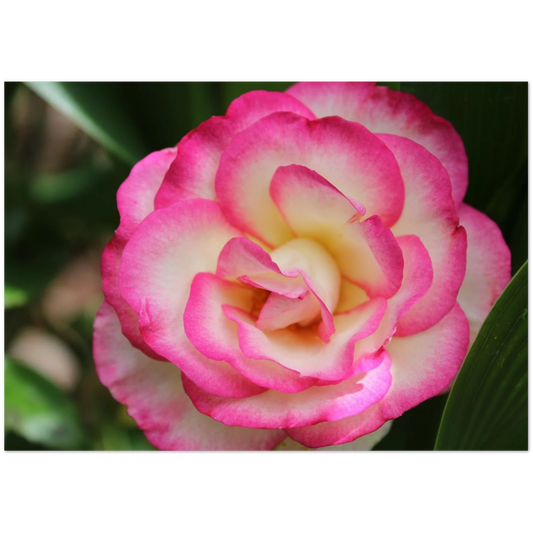 55152ac4-a94b-4fb6-883a-50ee5bd36dd9