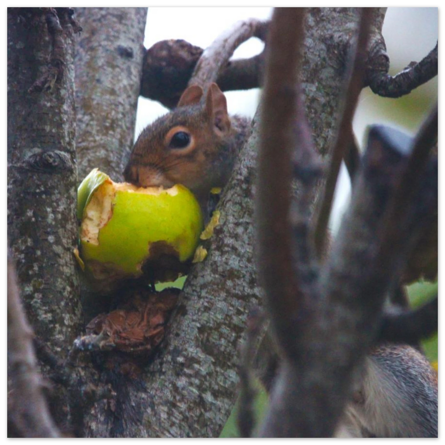 5632f669-9b3f-4e6a-889a-2bca7cf0074e