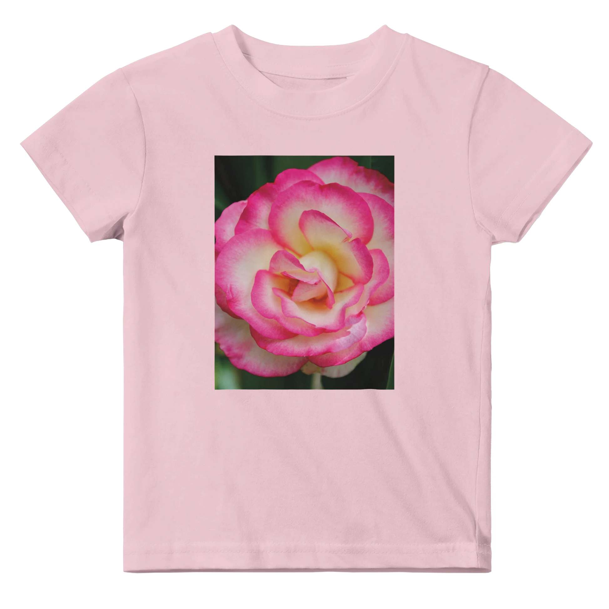 5811cad3-b20a-4b27-82cc-d22460d8e5f8