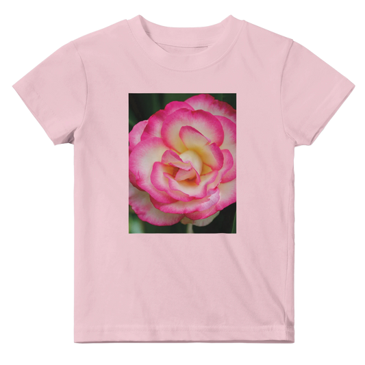 5811cad3-b20a-4b27-82cc-d22460d8e5f8