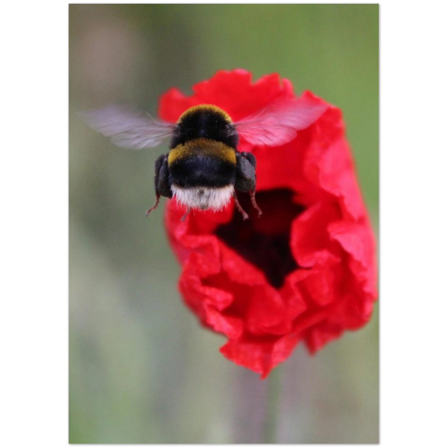 5e725ec1-55de-4aea-998a-cc78bbc10a4b