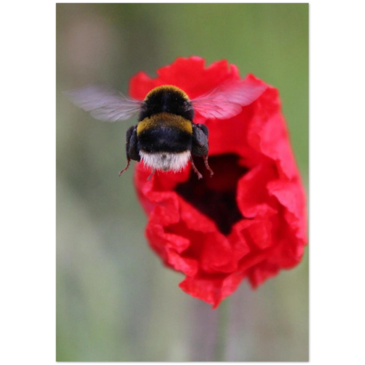 5e725ec1-55de-4aea-998a-cc78bbc10a4b