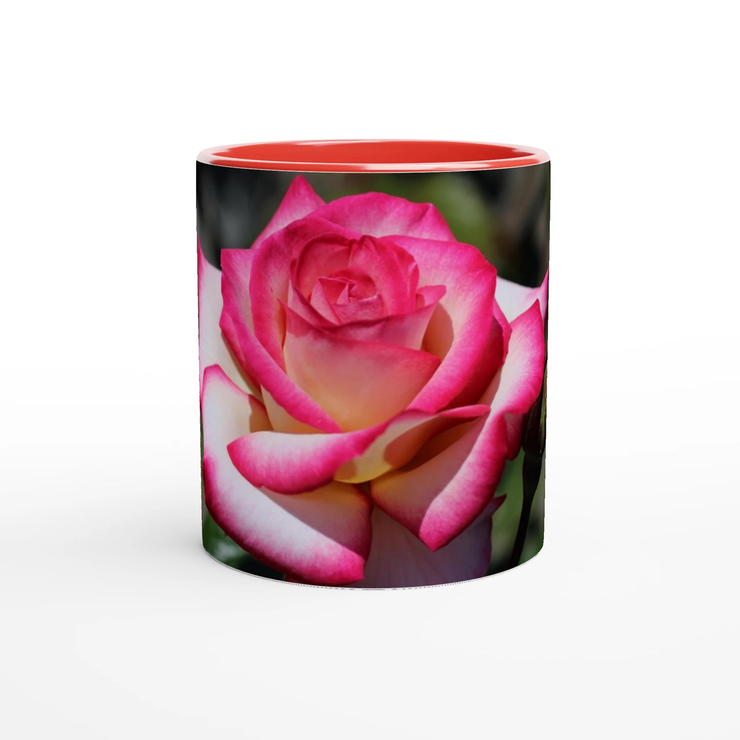 61fb1f84-6dc2-4c6f-a0fb-7fa800de073a