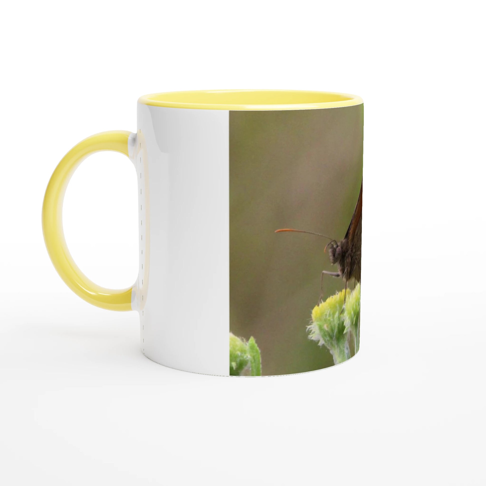 6258ef35-15ec-4e62-bd20-aca4622dccf3