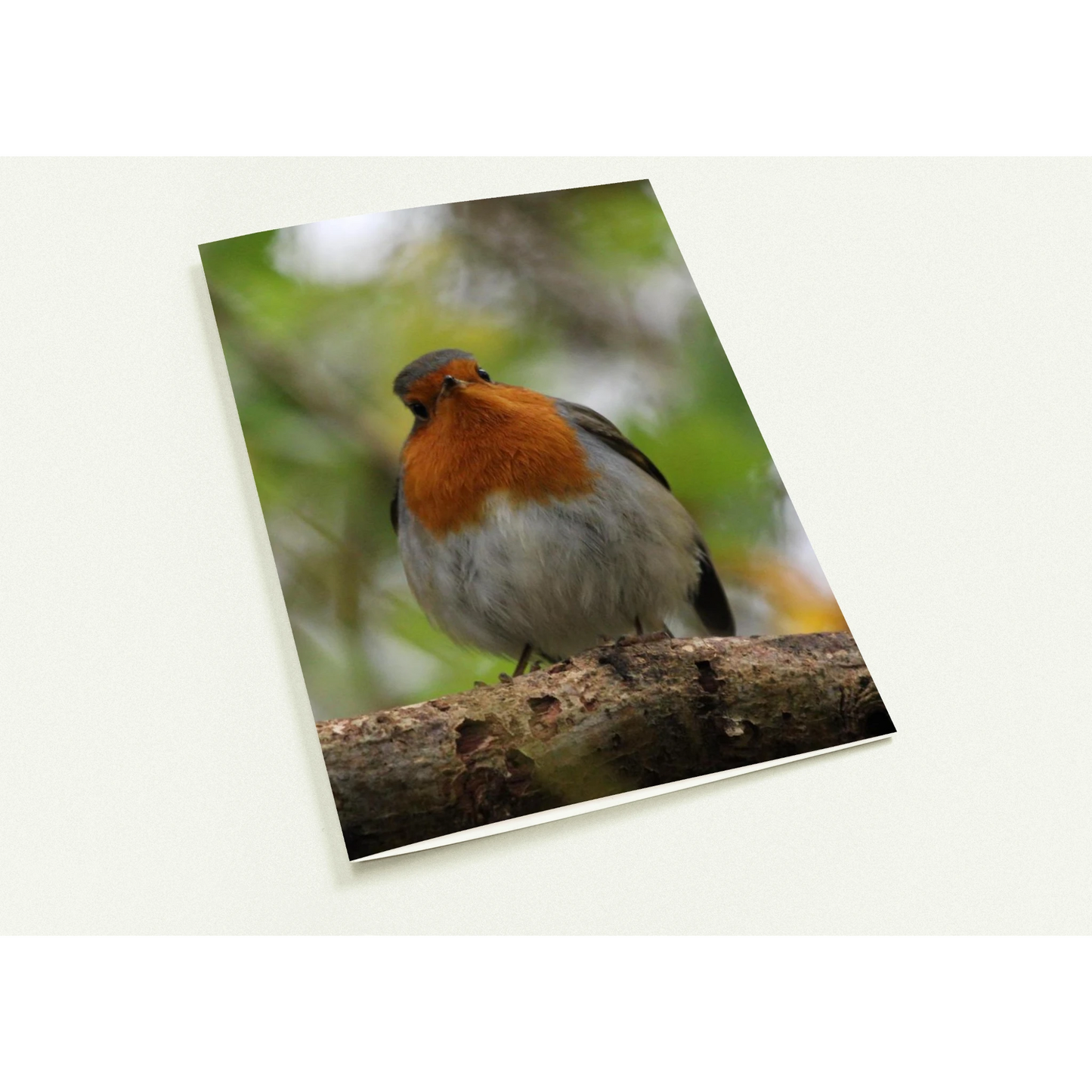 65538826-32a1-4a27-b39e-4ed0460cbb24