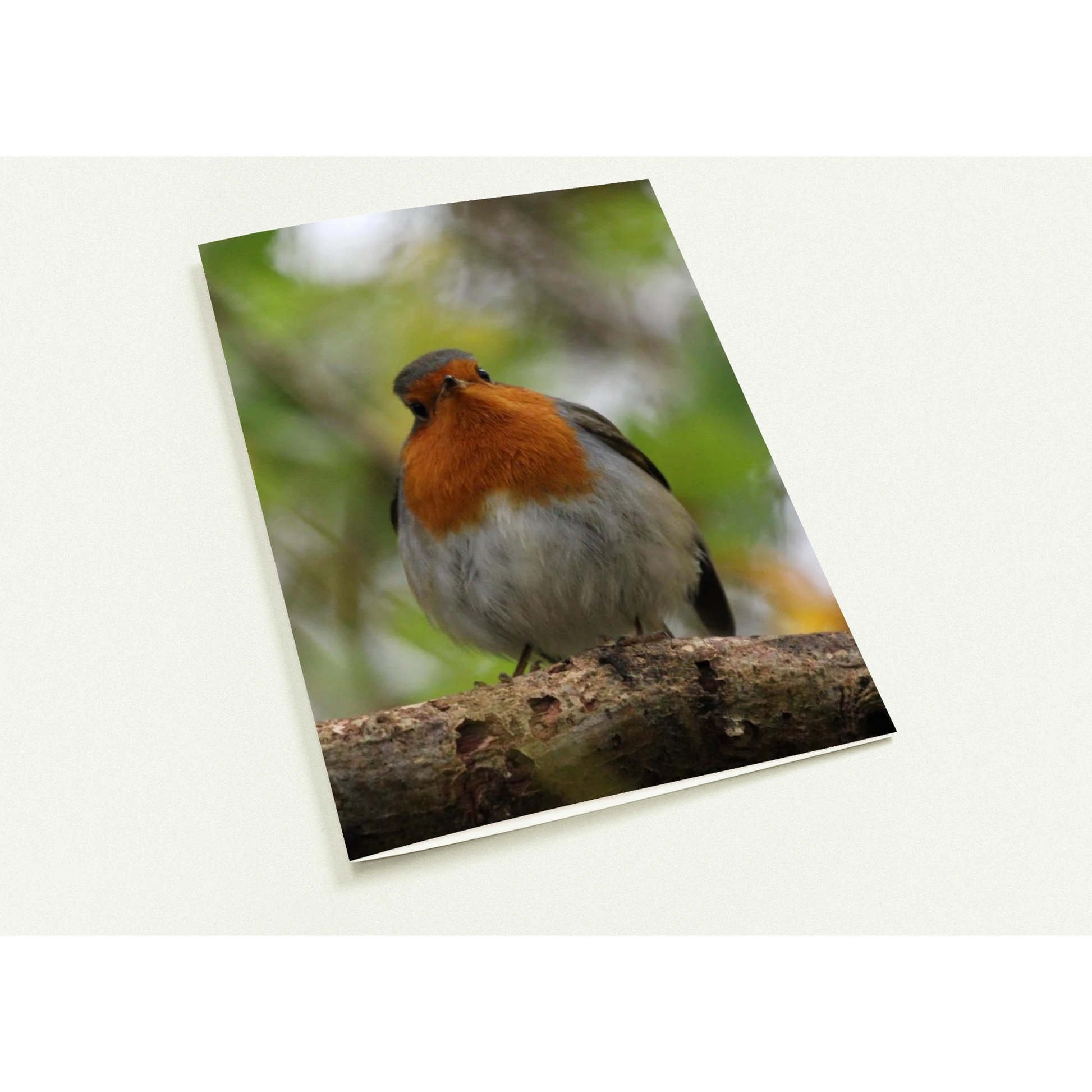 65538826-32a1-4a27-b39e-4ed0460cbb24