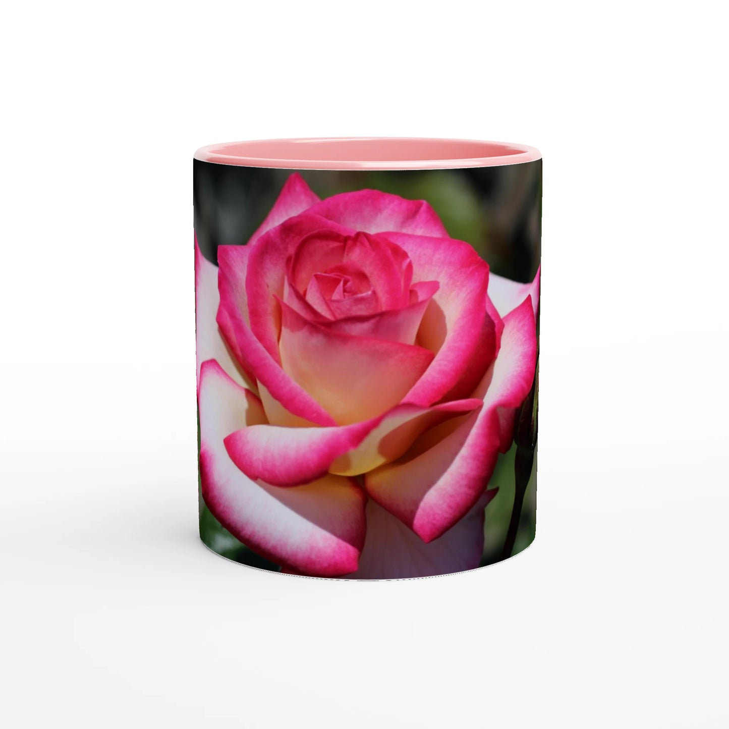 6aae3a44-f717-4135-88da-bce917327e98