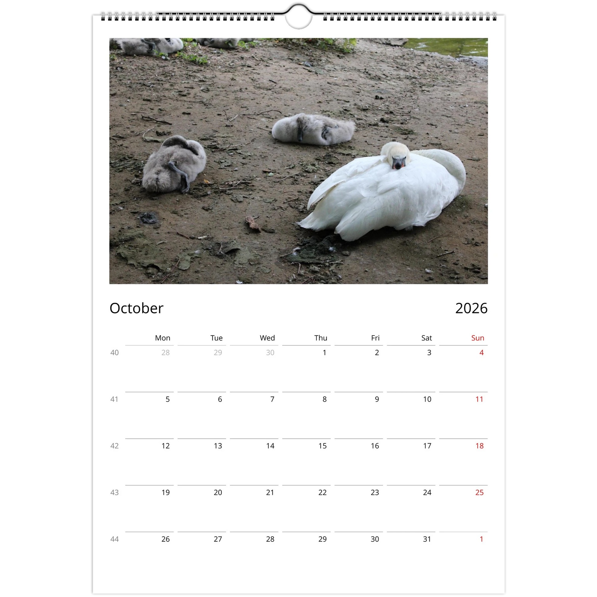 6addaeb7-339e-4b56-bbf9-5de2a2d47662