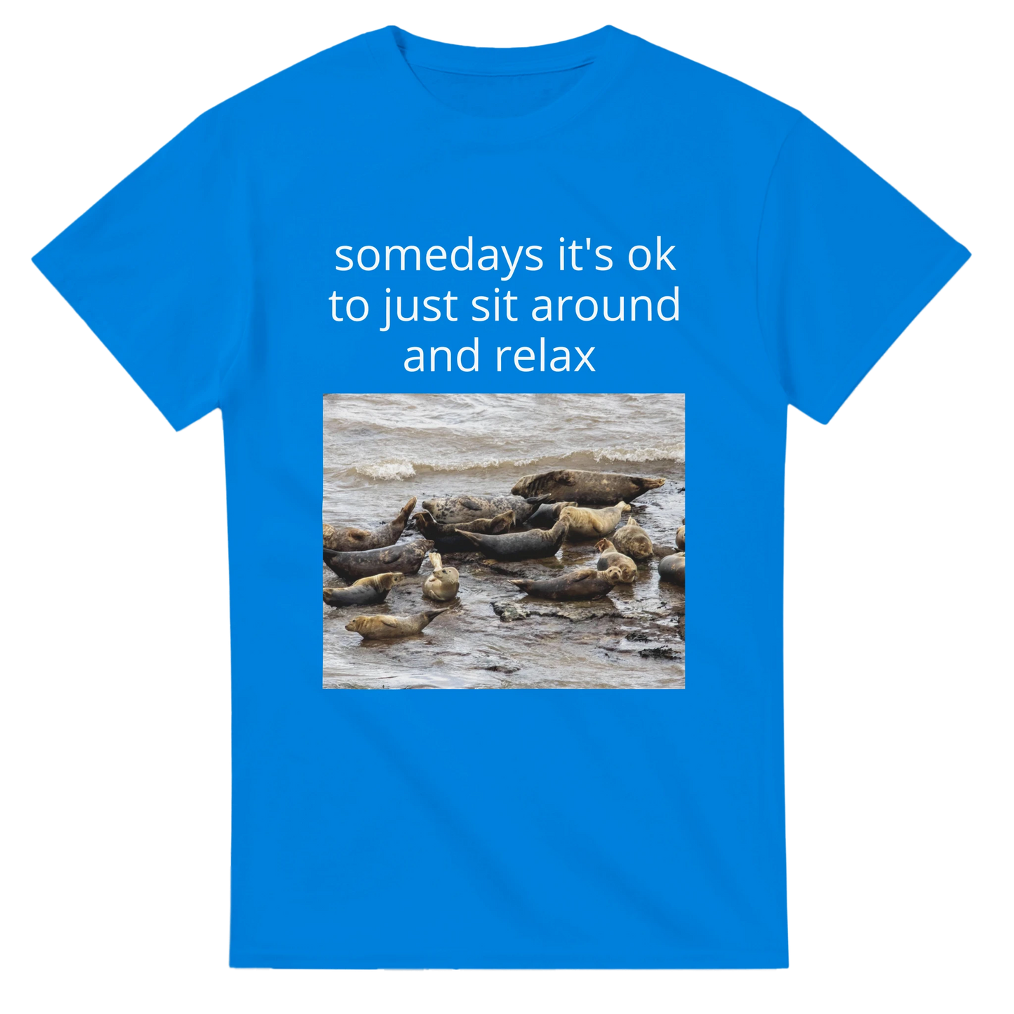 6b7cb077-4f53-4f57-97a0-e35821ecdafc