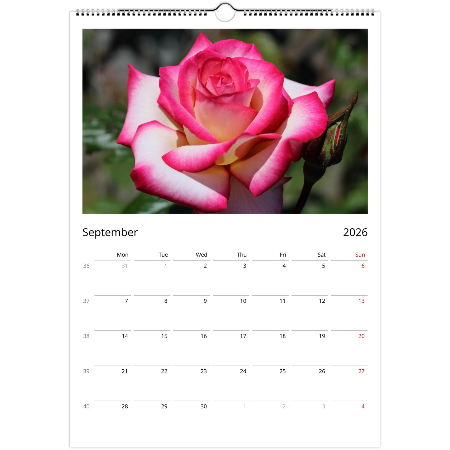 6efc914b-5a55-4f35-a4f3-697e3686d002