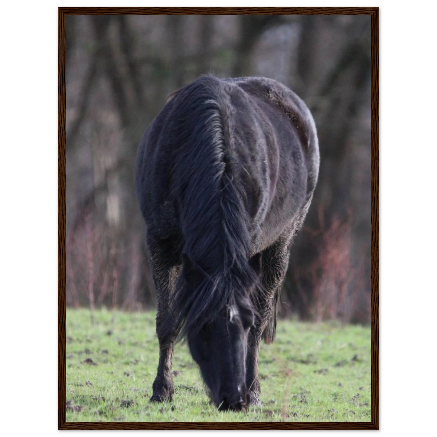 7012c072-7896-4fe0-be46-f83212fc5e5d