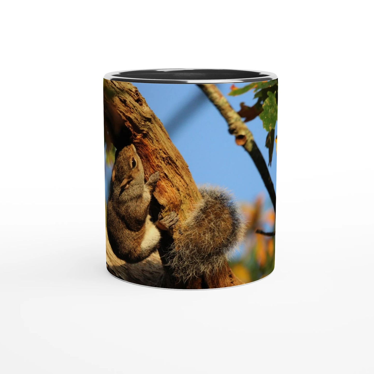 74a20372-cf89-4d1a-a4a8-7808cde5189c