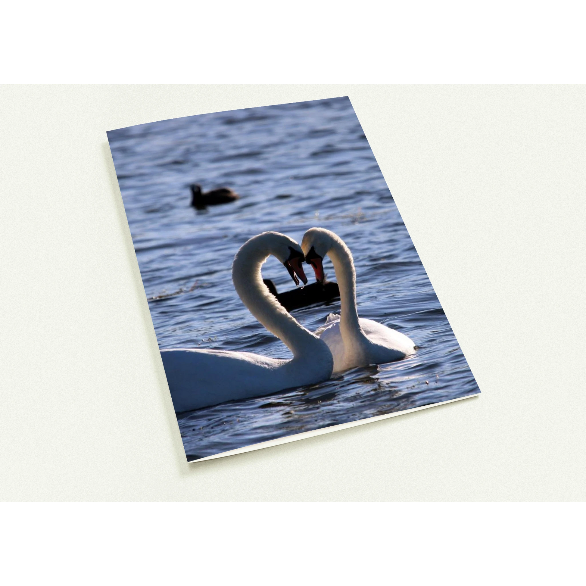 76454b9e-14c7-4642-986b-38e78d94509f