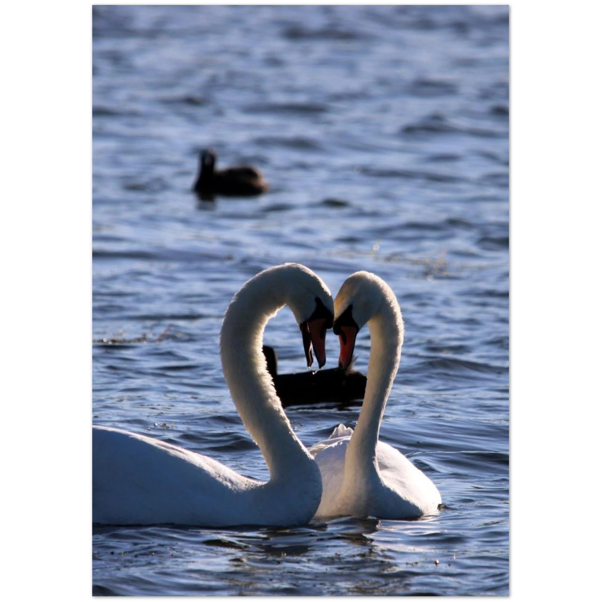 79eb3446-6180-453b-acbd-f90068b494d2