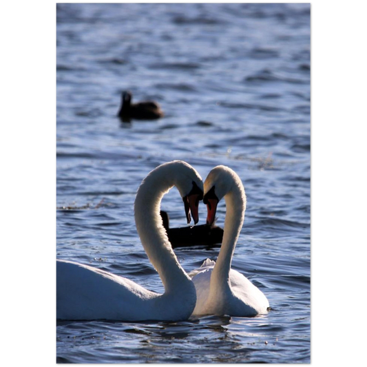 79eb3446-6180-453b-acbd-f90068b494d2