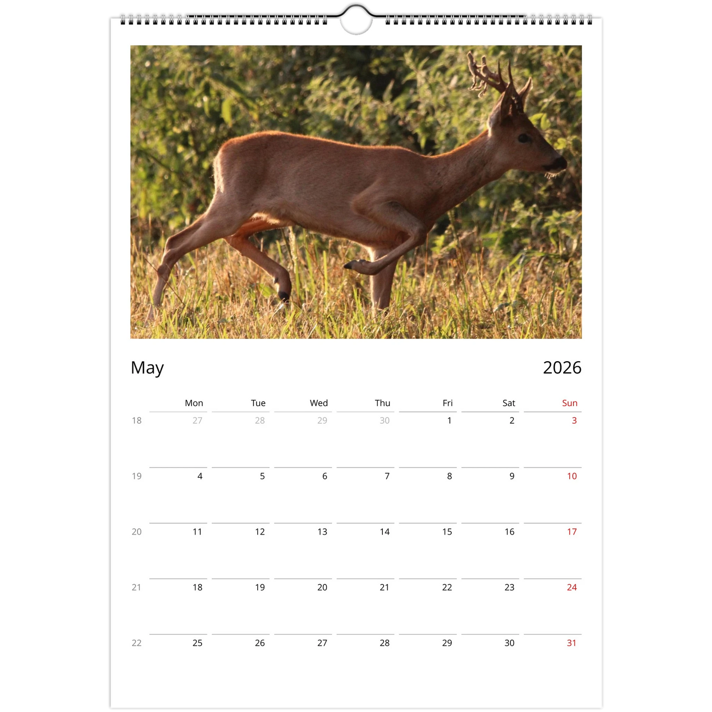 7af8c865-d39a-4ece-8849-cbaf684a1e9c