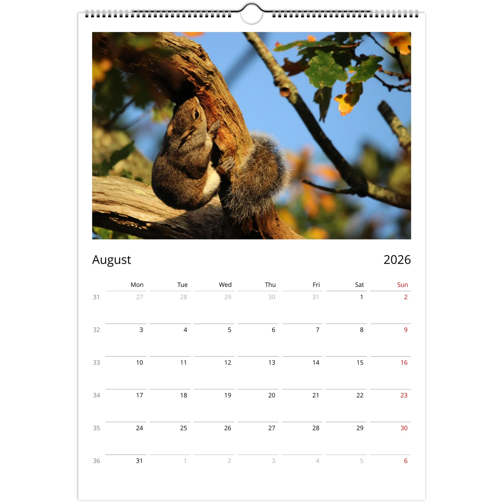 7c5e63a3-9e89-4414-a649-b33b654d6eab