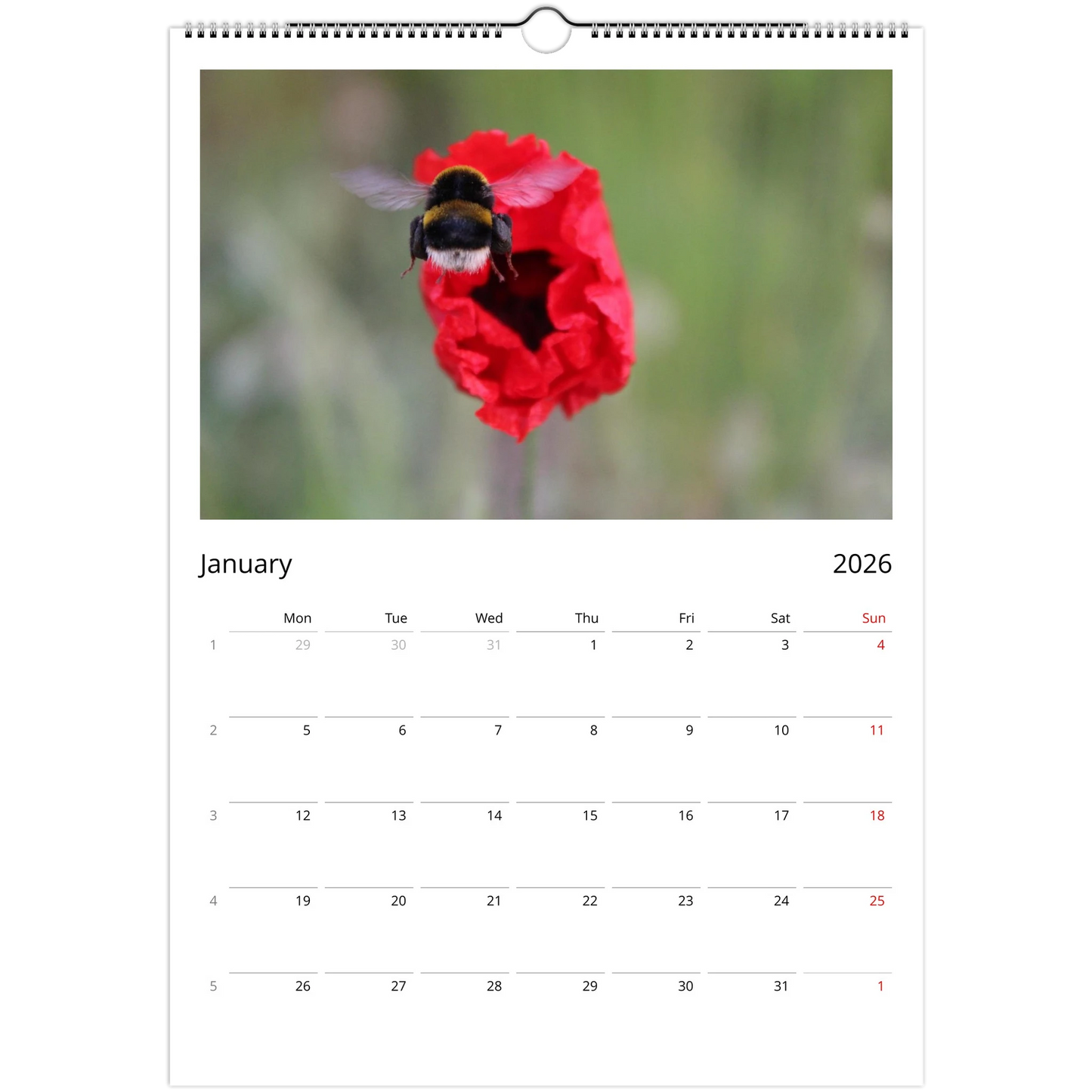 7db00ca7-22dd-4c6e-845c-8d0dd021dd0d