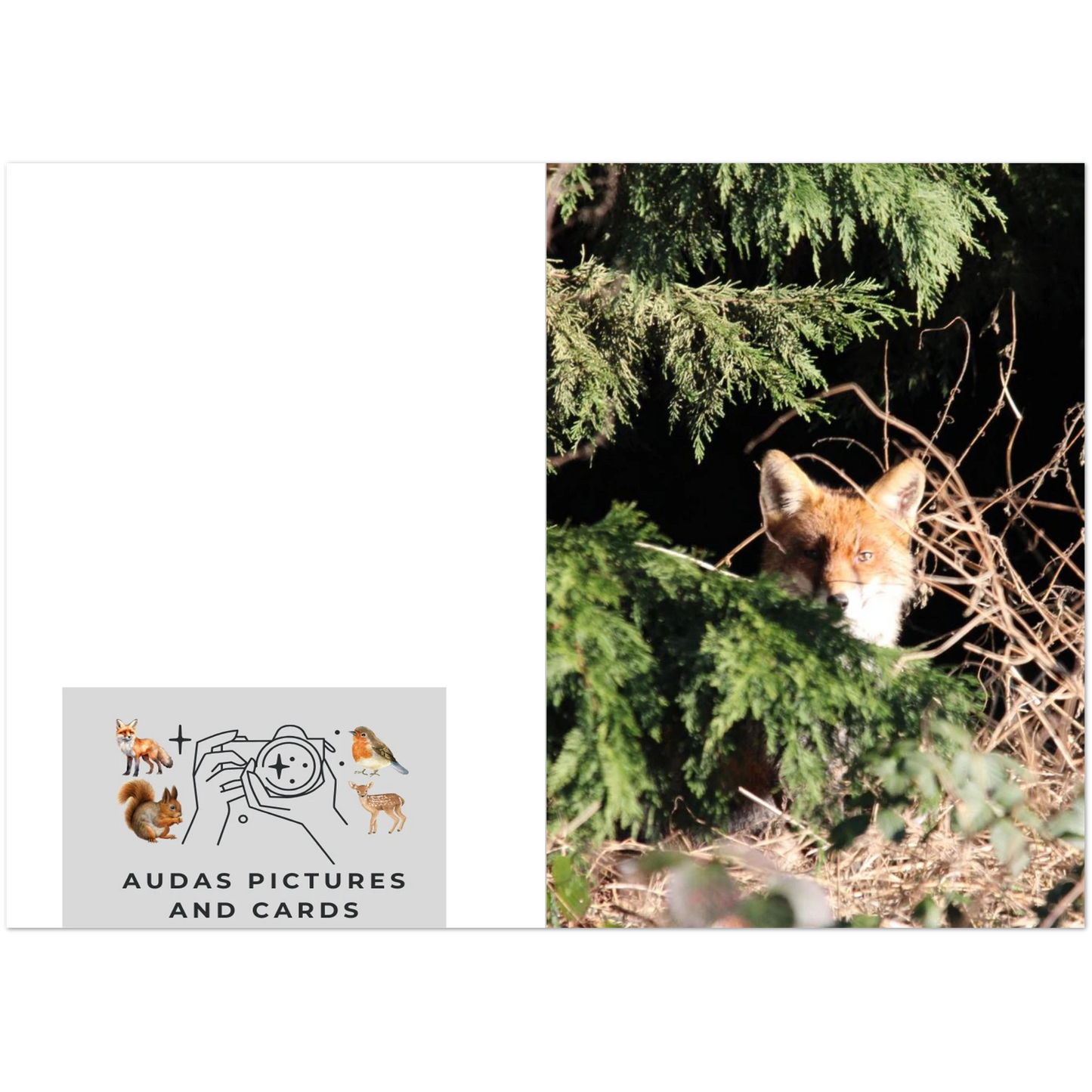 8372b0ba-304c-4ed5-bb91-d3ecc92020e5