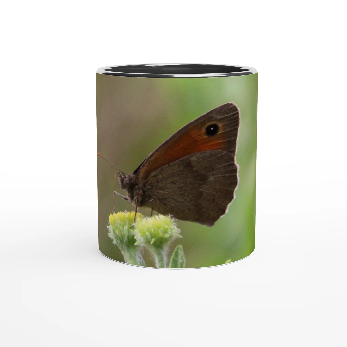 84cc246a-2519-40c7-ad95-07471aad591e