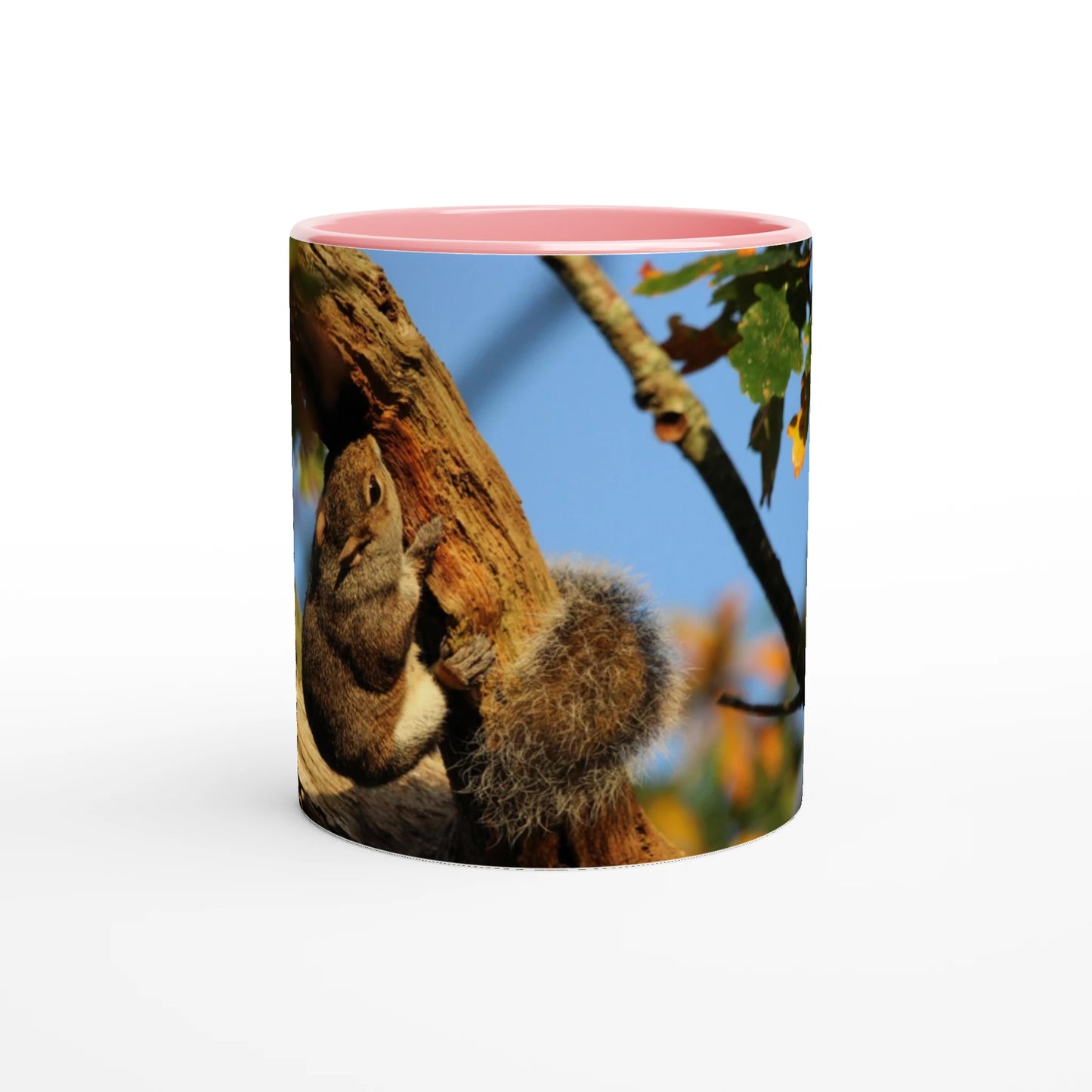 853a7d19-013c-4b46-8807-bac53e79e89c