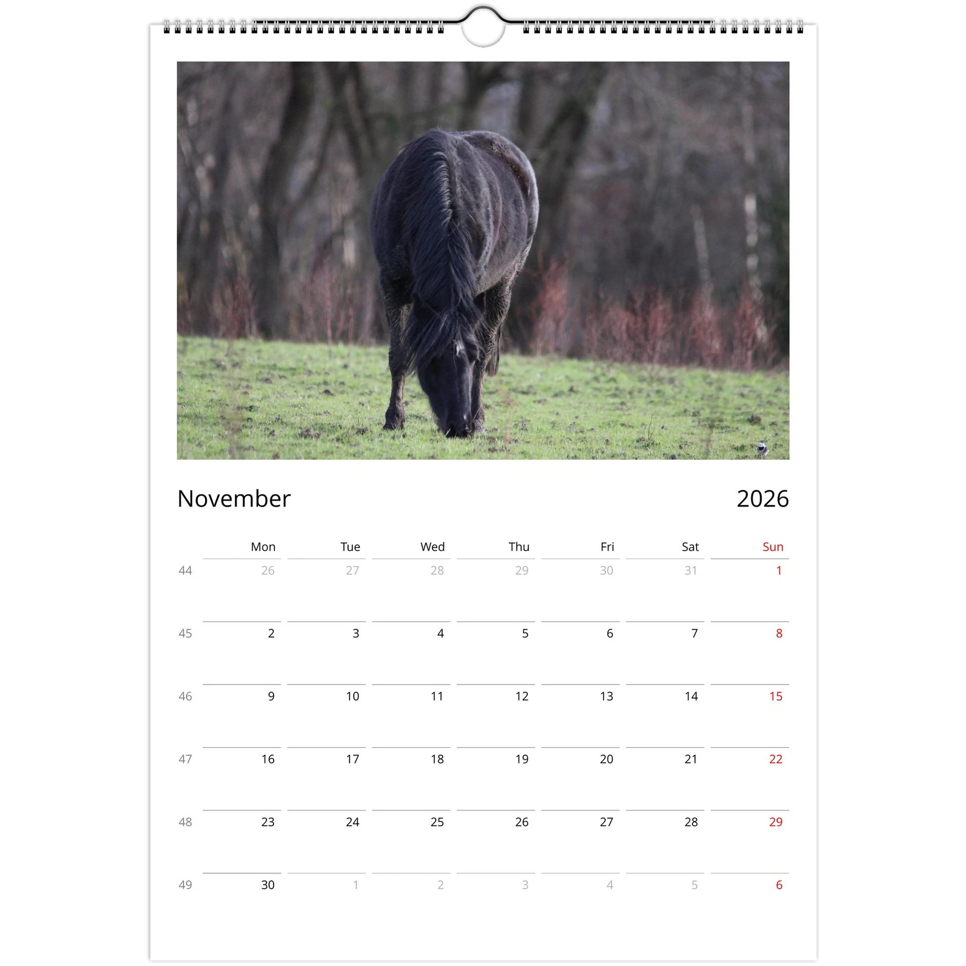 89ebad0f-74aa-41dd-99fa-e004e63d372f