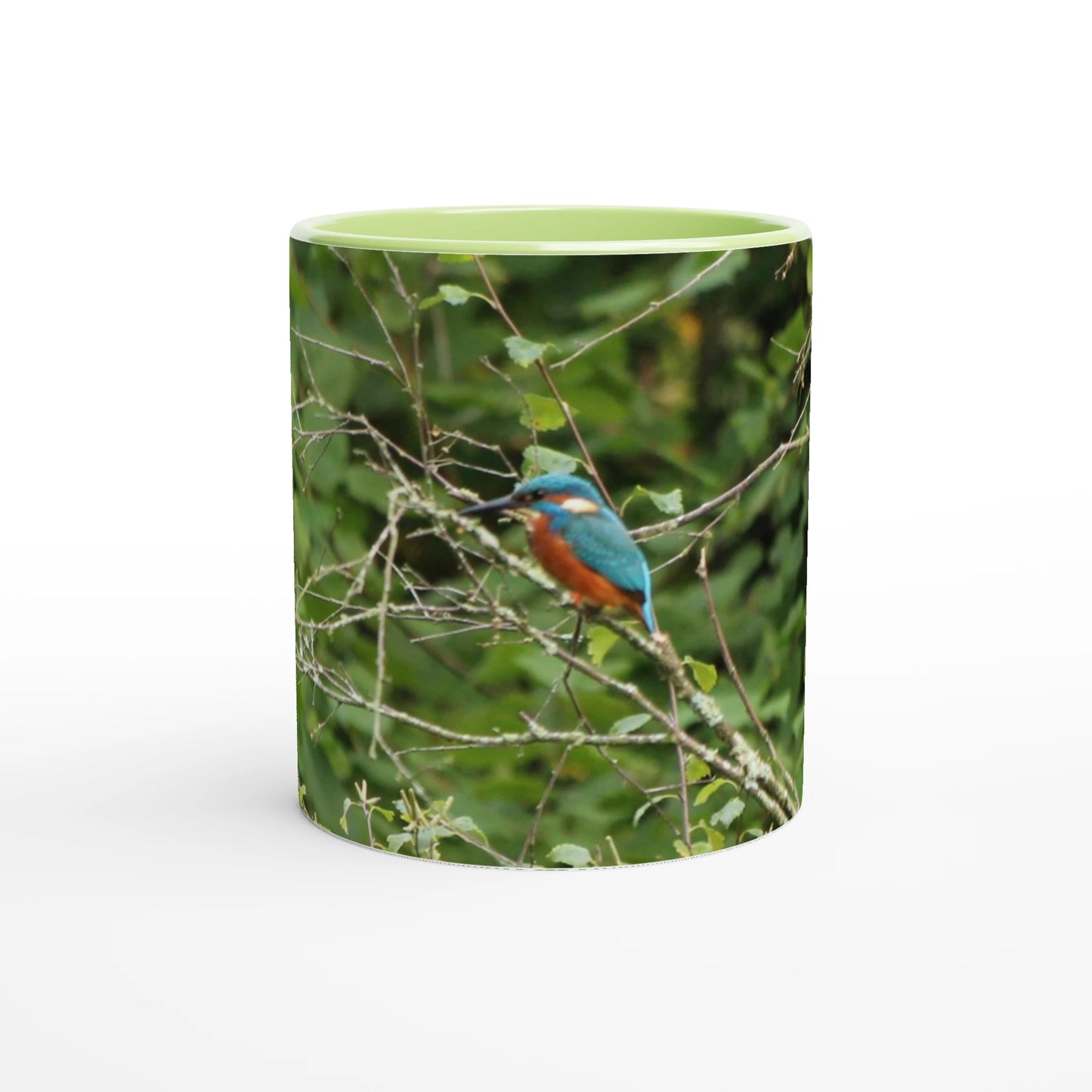 8a66cb92-0924-4fa1-9a93-7c02325a9a6f