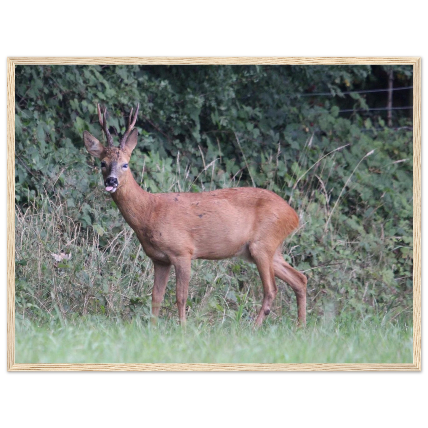 8a7f65e0-873d-4dff-811d-f0723ee324c5