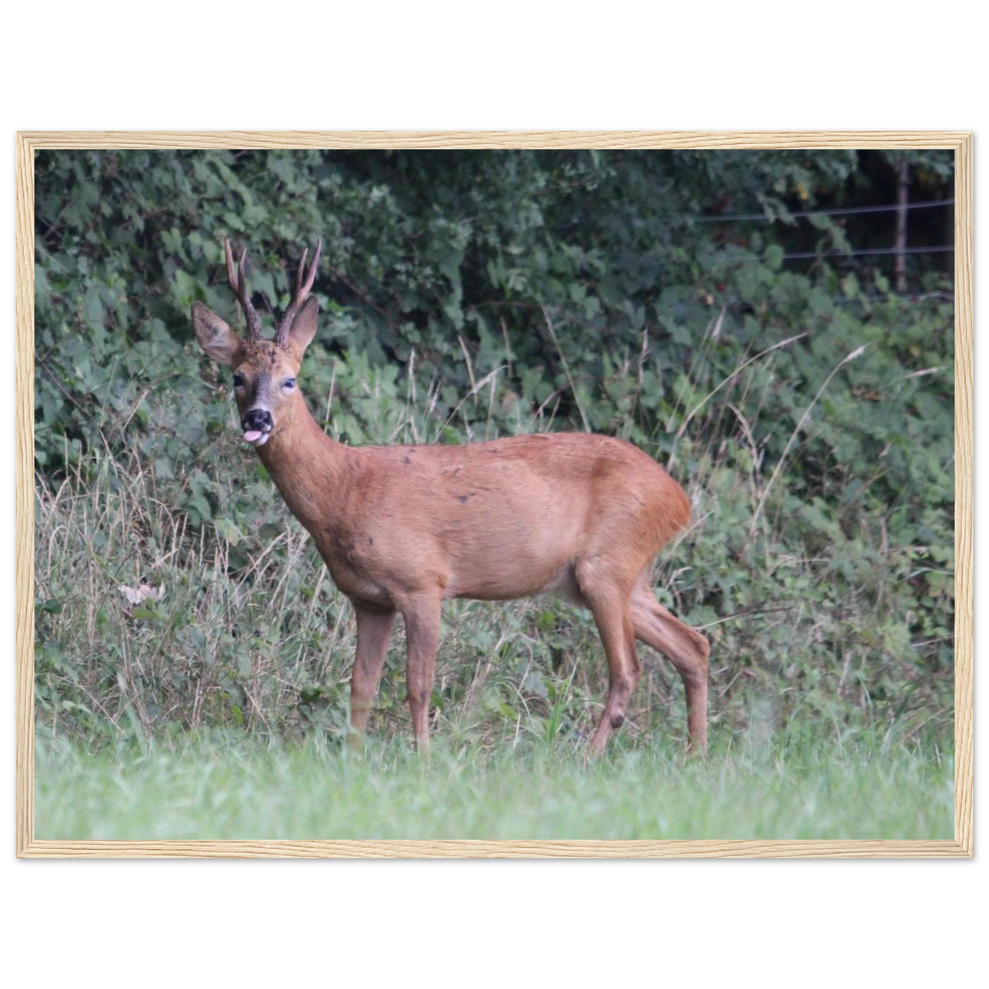 8a7f65e0-873d-4dff-811d-f0723ee324c5