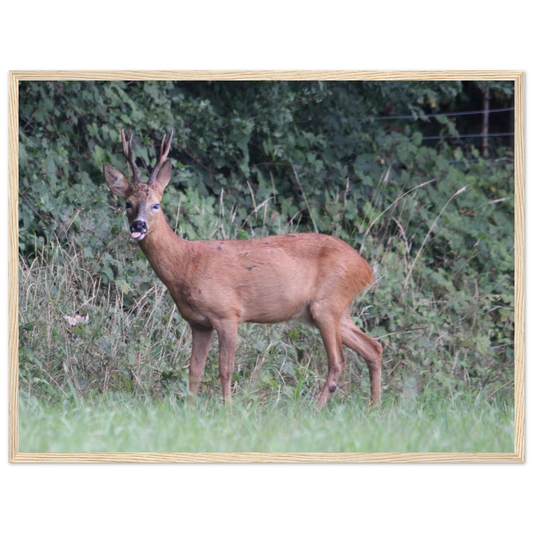 8a7f65e0-873d-4dff-811d-f0723ee324c5