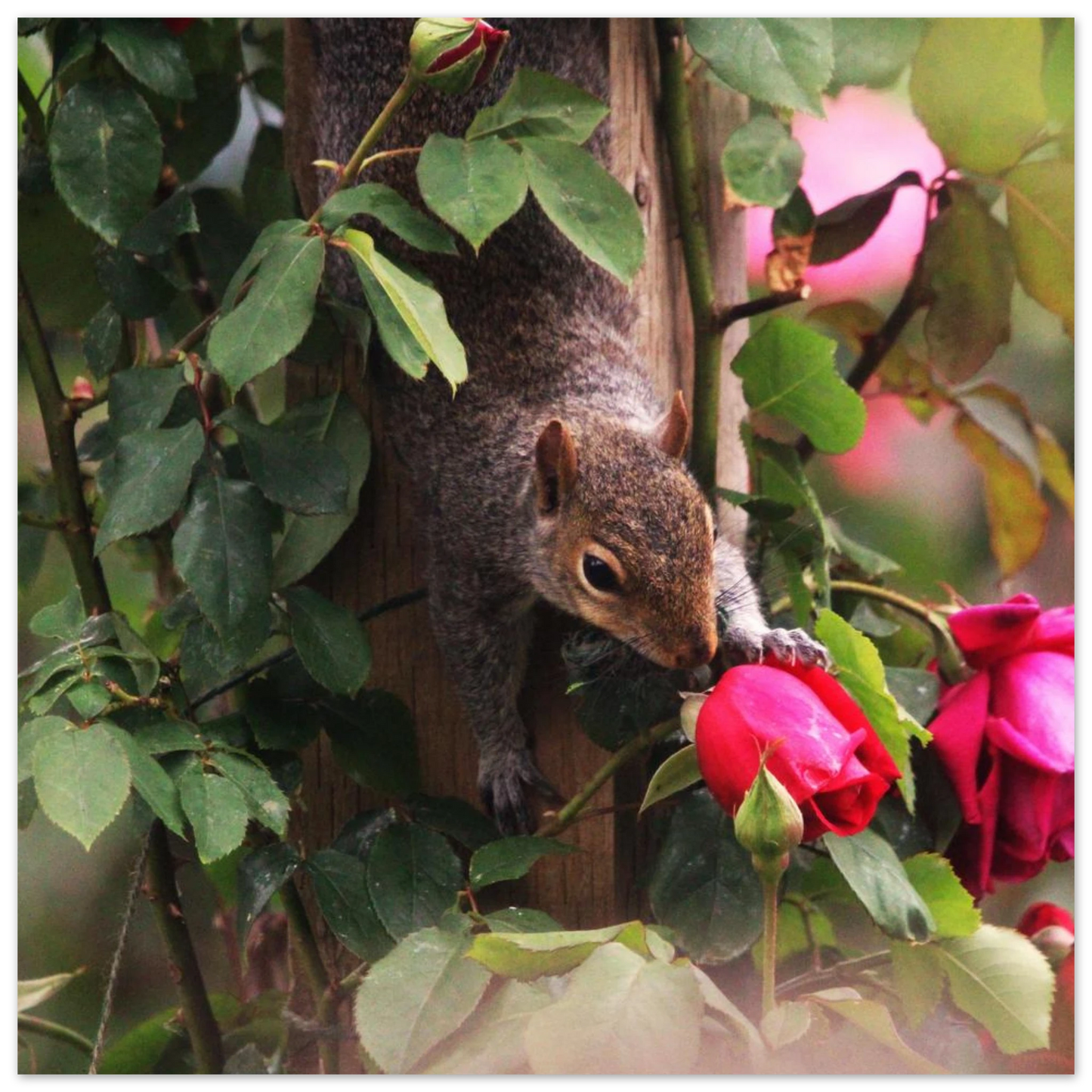 8a95dfd3-dc4d-4e64-9ad3-e30669eba0c0