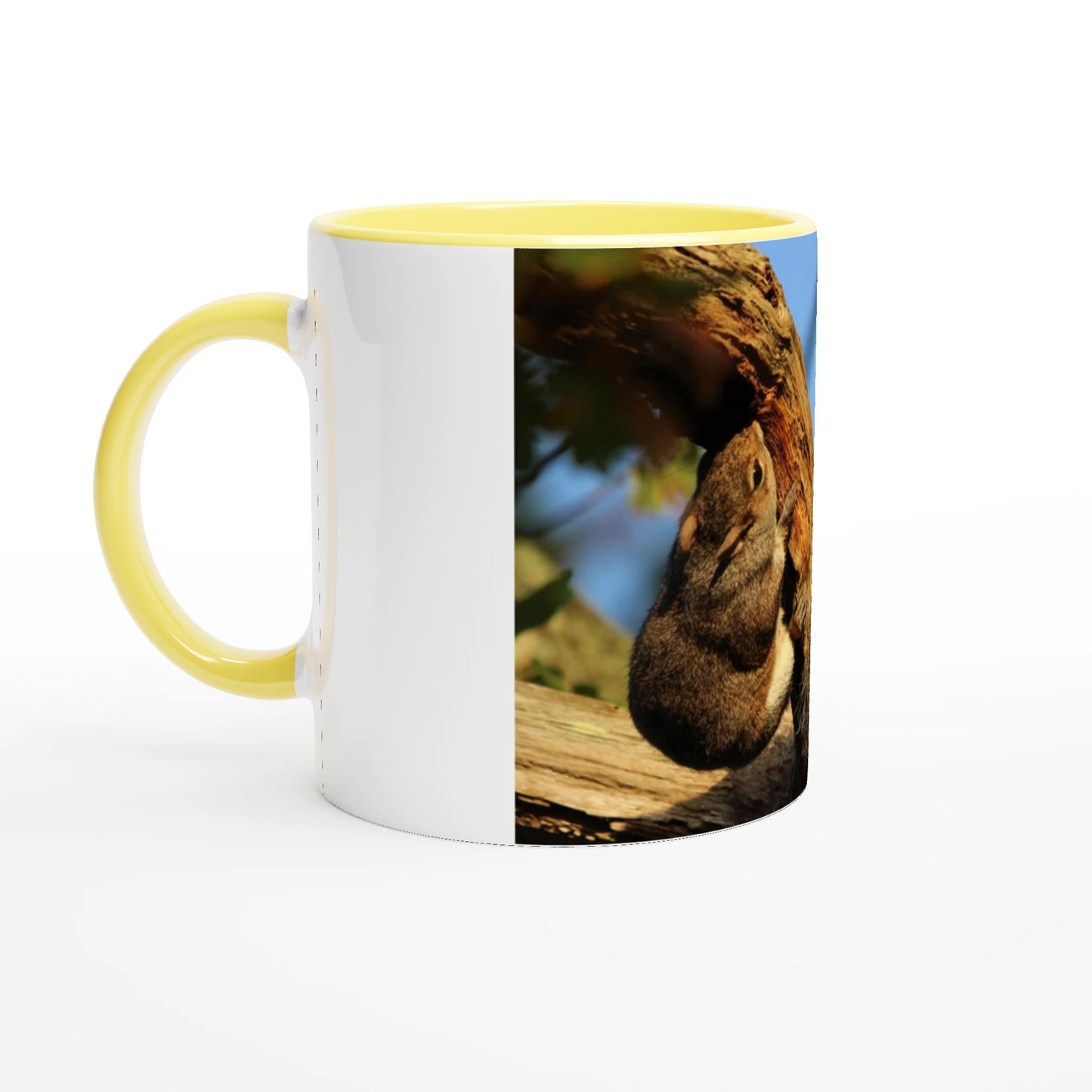 8ca4cece-fbd3-46c1-8023-848f5a006522