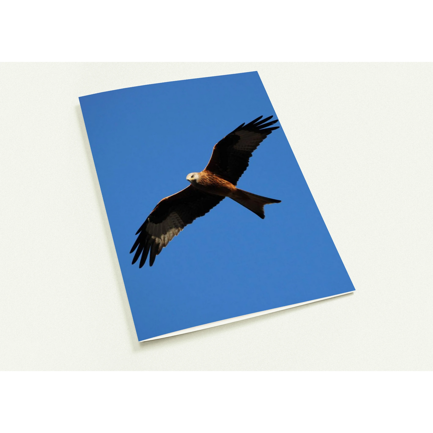 8d0b2769-d791-4a48-9630-e03f0429cf69