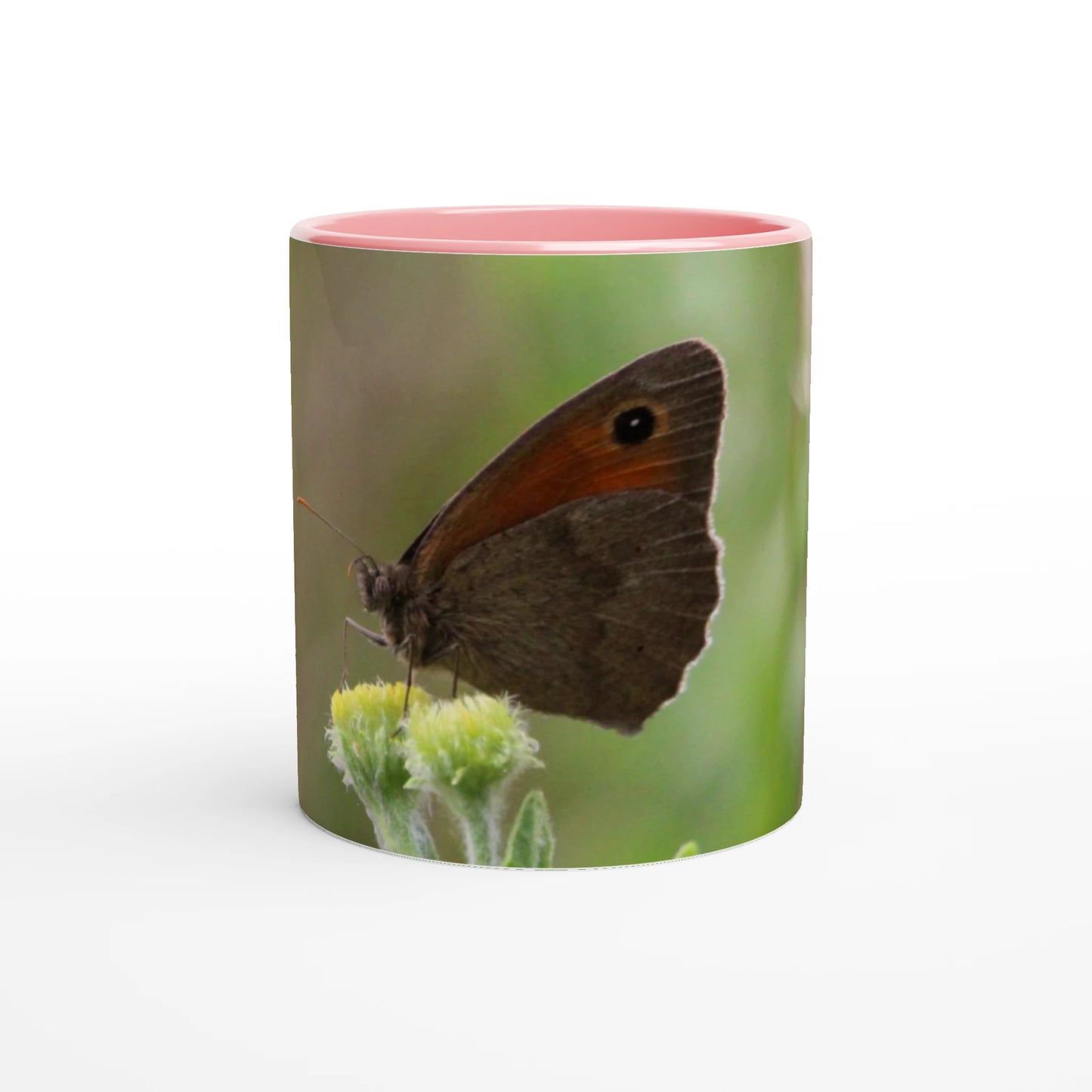 8d746695-4c2c-4265-9642-3fd6eaeff9db