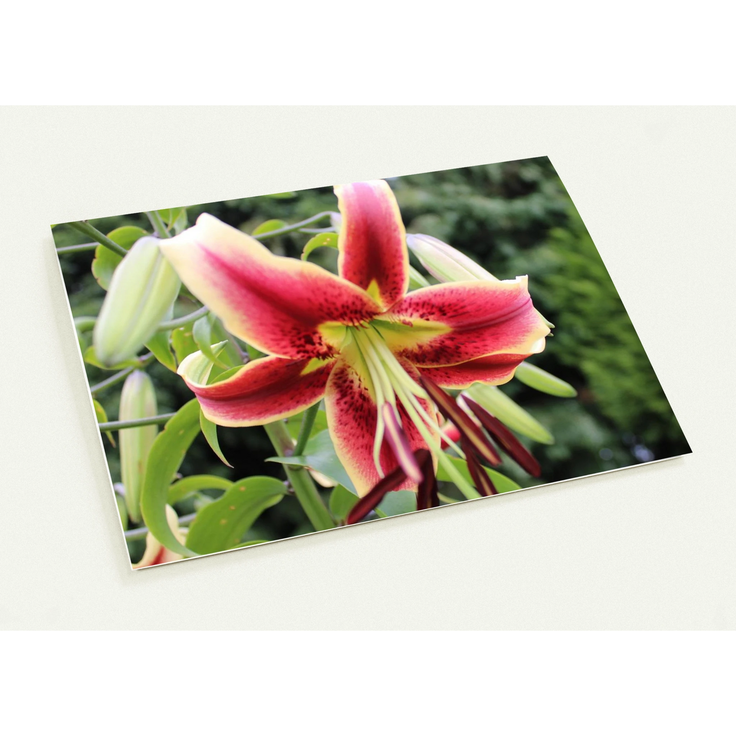 8f1fa9e9-493f-4e20-9fca-2909394c12dc