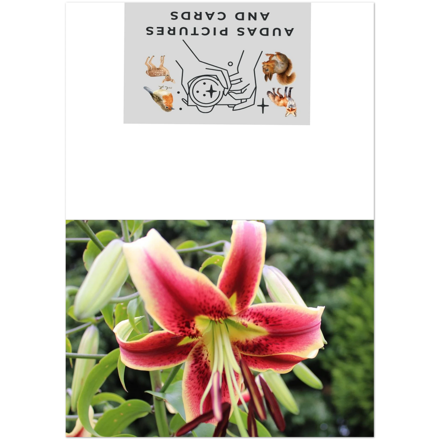 9063df0b-c773-4074-b4e4-1eb01af37818