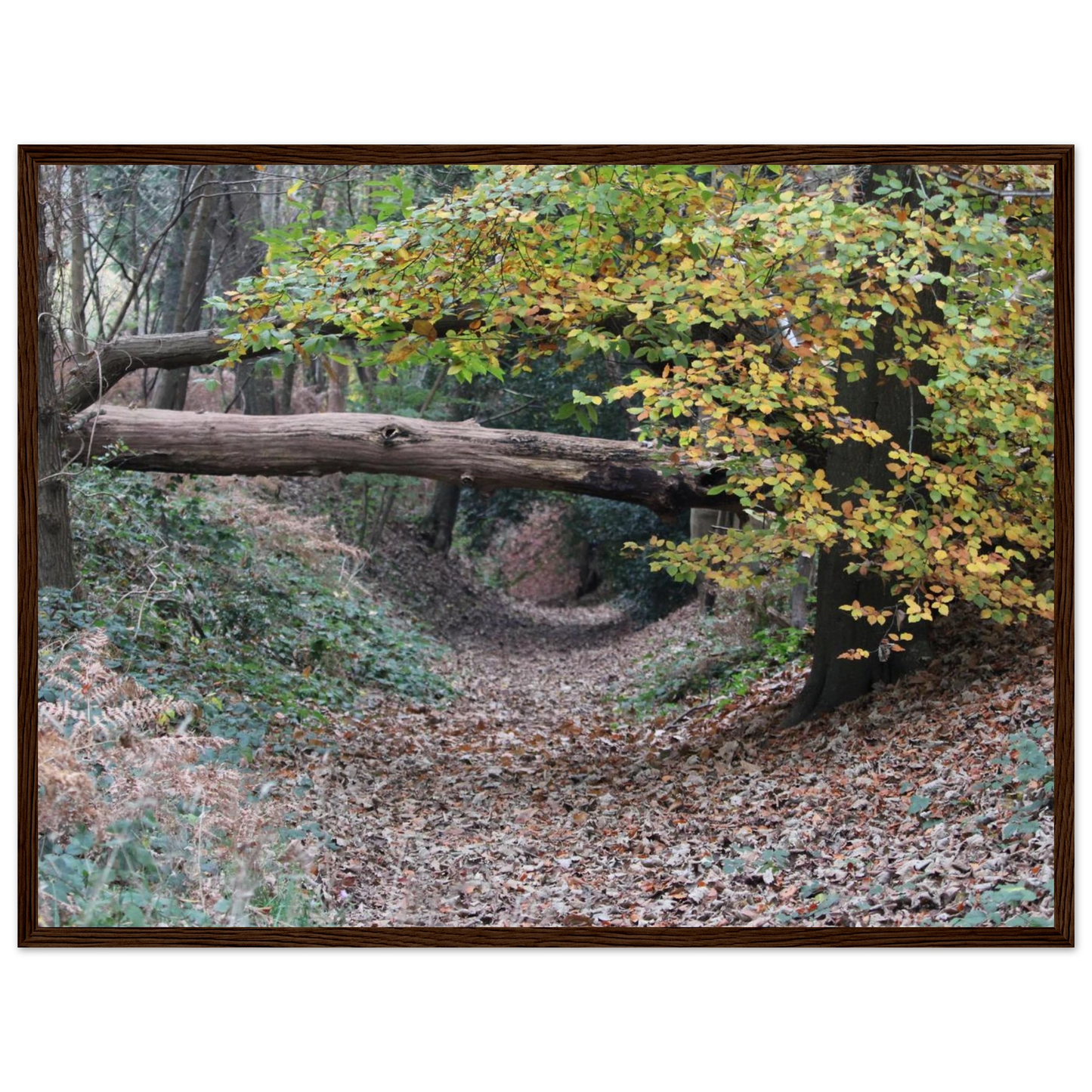 90a822f4-f7d8-4331-8b56-c813b78e9033