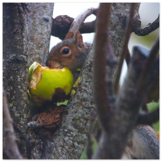 9975b28d-371b-4f46-8352-8bdcfeff632b