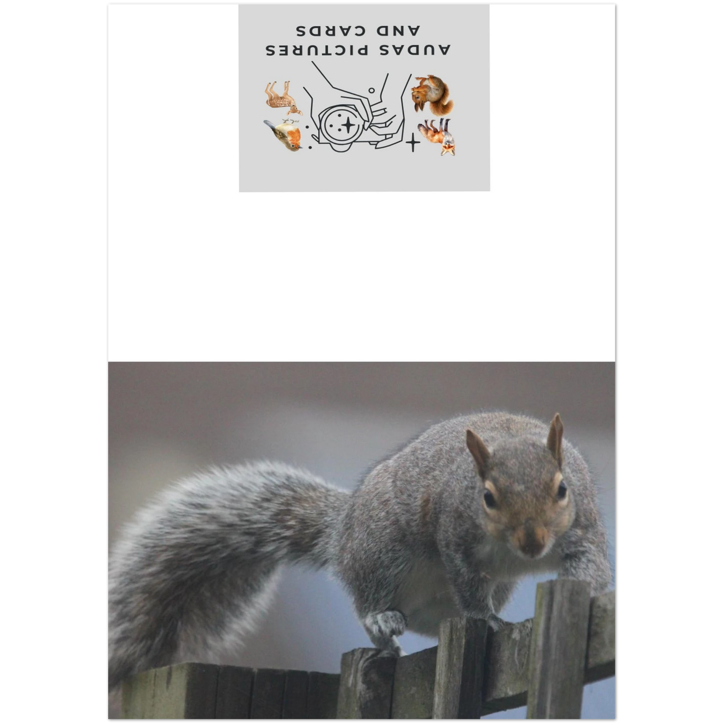 9e21cc0e-c7a6-4e01-9068-733c1f245492