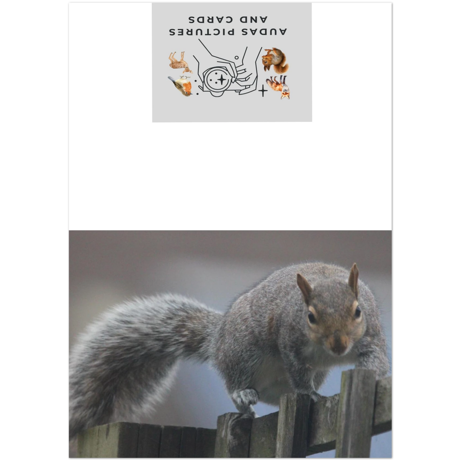 9e21cc0e-c7a6-4e01-9068-733c1f245492