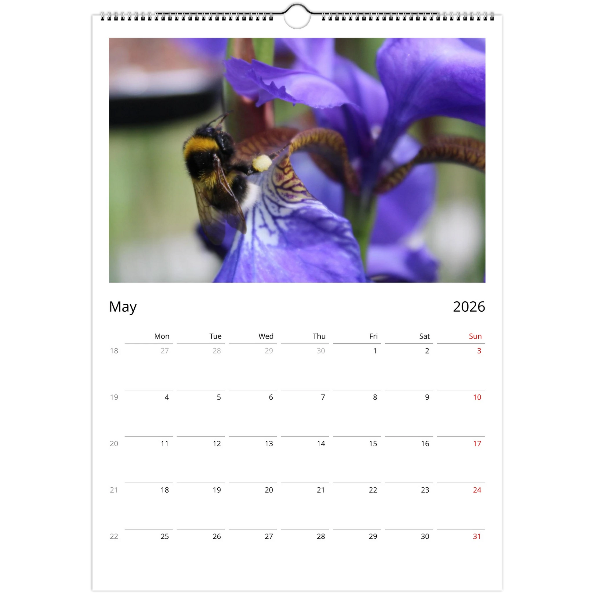 9ead350d-a8a8-461a-995d-cdc3481b4429