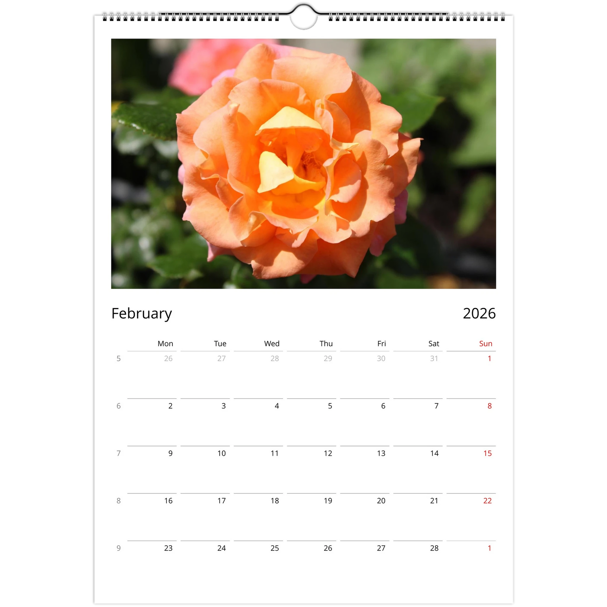 9fc4d07e-3364-4433-9890-85c8065287e7